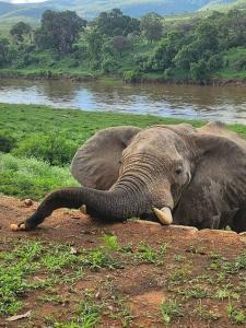 Simbini Sunset Cottage