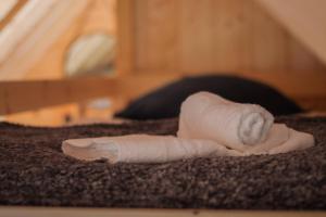 Campings Domaine du Heidenkopf : photos des chambres