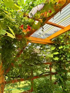 Ferienwohnung Hubertus