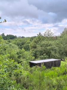 Chalets Moose Tiny House Basalt : photos des chambres