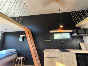 Moose home Tiny House Basalt