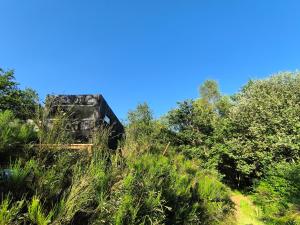 Chalets Moose Tiny House Basalt : photos des chambres