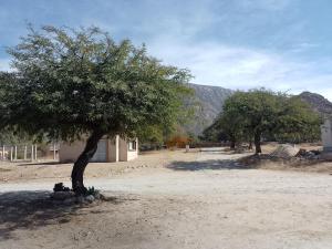 Cabañas Cafayate