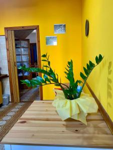 B & B Il Mirto 2 img61