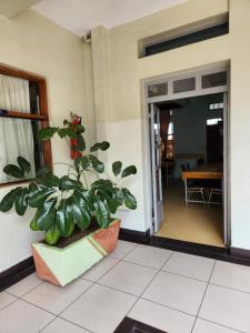 Kenlands Relaxinn Hotel