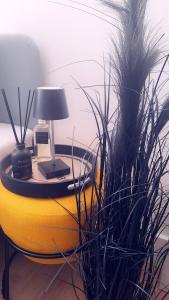 Szeged Starlight Yellow