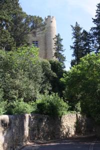 Maisons de vacances La Remiso : photos des chambres
