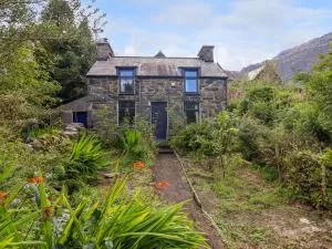 Nyth Yr Eryr - 布莱奈费斯蒂尼奥格