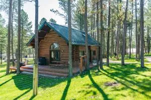 Pine Cabin - Custer