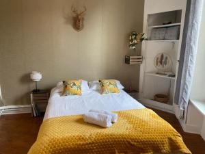Appartements LE BOTANICA Bel appartement situe a 5 min de la gare d-Angers : photos des chambres