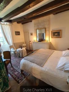 B&B / Chambres d'hotes LE PRESBYTERE DE LA CITE ROYALE DE LOCHES : photos des chambres