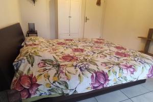 Villa Matthy Casa con giardino fronte fiume possibile nuotare