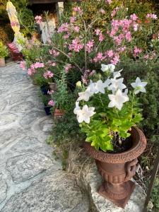 B&B / Chambres d'hotes La Borie en Provence : photos des chambres