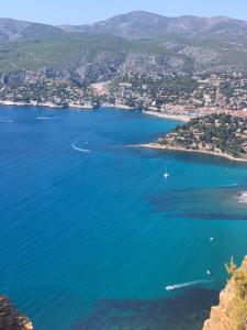Maisons de vacances L-Amazonite : photos des chambres