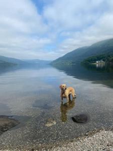 Lomond View Lodge