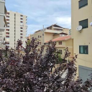 City centre apartment by Vlora office