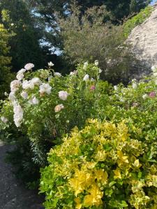 B&B / Chambres d'hotes La Borie en Provence : photos des chambres