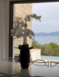 Villas VILLA NAPOLEON vue mer et piscine : photos des chambres