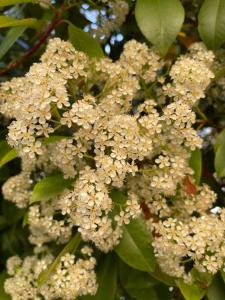 B&B / Chambres d'hotes La Borie en Provence : photos des chambres