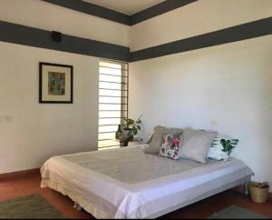 3-bedroom house in Alamparai with plunge pool