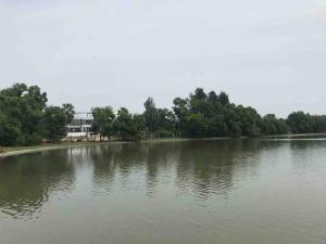 3-bedroom house in Alamparai with plunge pool