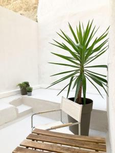 Loft Réformés Plaine