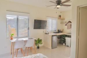 Estudio con vista al mar