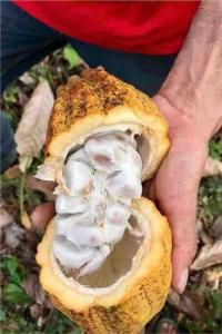 Hostal Mirador PiedrasBlancas