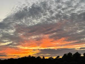 B&B / Chambres d'hotes La Borie en Provence : photos des chambres