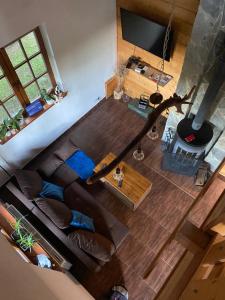 Dom Na Wzgórzu 479, The House on the hill