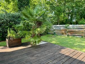 Villas La villa des Epicuriens - Ares - Bassin d-Arcachon : photos des chambres