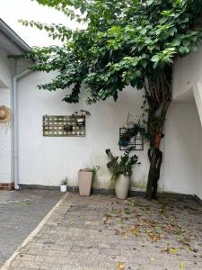 Casa espaçosa 6 min da praia