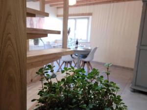 Maisons de vacances Gite de bord de mer, Le Calicoco : photos des chambres