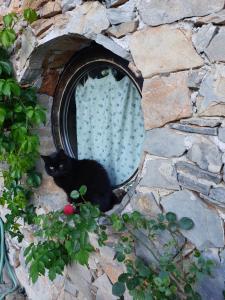 Maisons de vacances Les jardins d'Isa : photos des chambres