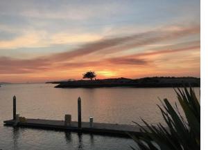 Beautiful Resort in Harbortown Point 1BD near Marina Park