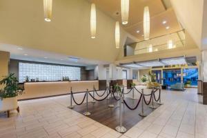 Diamond - Cancun Resort Las Vegas Luxury 1BD - 4-star hotels in Las Vegas