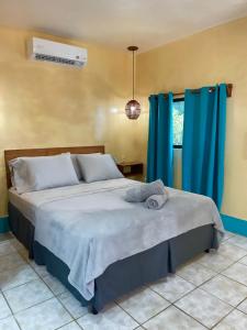 Apartments at Los Delfines Little Corn