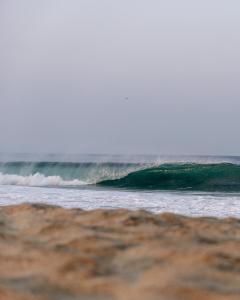 Bambú Corner - Casa Consciente