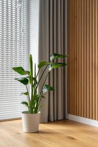 D33 Vilnius - Brand New Luxury Apartment with Terrace, Garden, AC and Parking