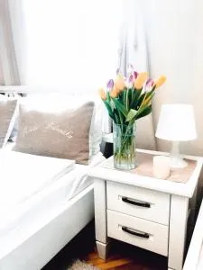 波兰枕头宾馆 - Chyshky