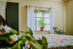 AC ROOM with attached bathroom