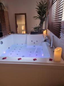 Maisons d'hotes Suite de charme avec JACUZZI illimite et jardin privatif : photos des chambres