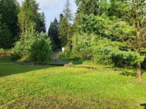 Krynica Zdrój - Dom nad wodą