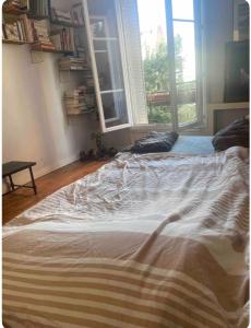 Appartement rue piétonne, lumineux, calme, dégagée