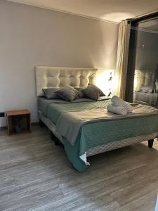 Departamento amoblado Ñuñoa - Ñuñoa