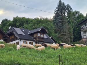 Ferienhaus Beringer am Kallbach