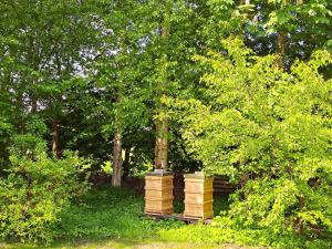 Huus de Freese 35224