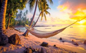 SUNNY SMES - Airport & Downtown