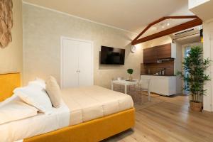 Domus Romana Musei Vaticani