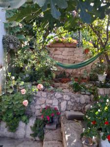 Apartmani Batinović